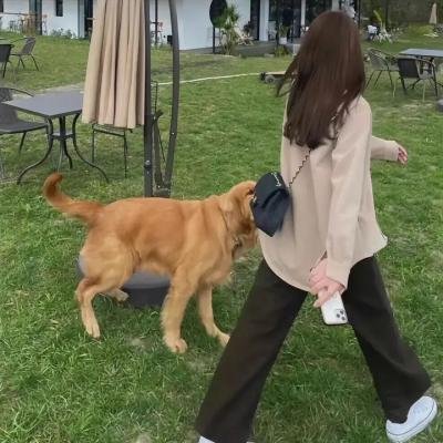 恶有恶报
