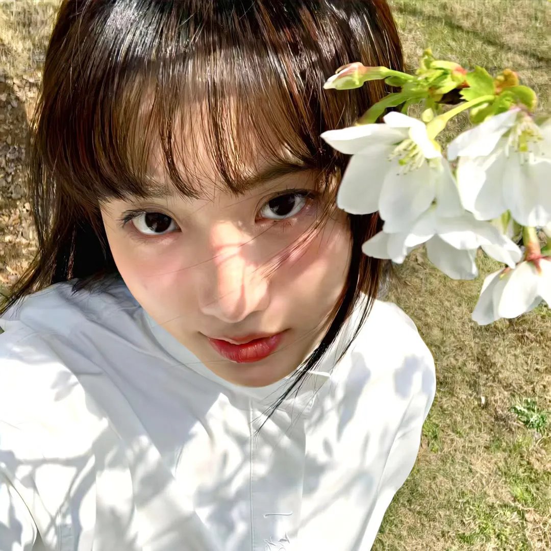 宝可梦 地平线